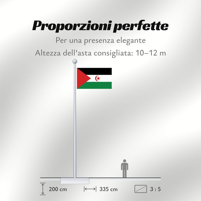 Proporzioni della bandiera: Sahrawi Arab Democratic Republic Western Sahara République arabe sahraouie démocratique República Árabe Saharaui Democrática Demokratischen Arabischen Republik Sahara Repubblica Democratica Araba Sahrawi Arabische Democratische Republiek Sahara República