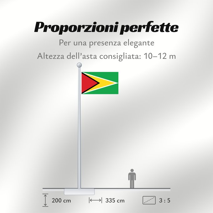 Proporzioni della bandiera: Guyana Guiana Wayana wiphala Gujano Gwayana Wayana unancha Флаг Гайаны Guyanas Quốc kỳ Guyana