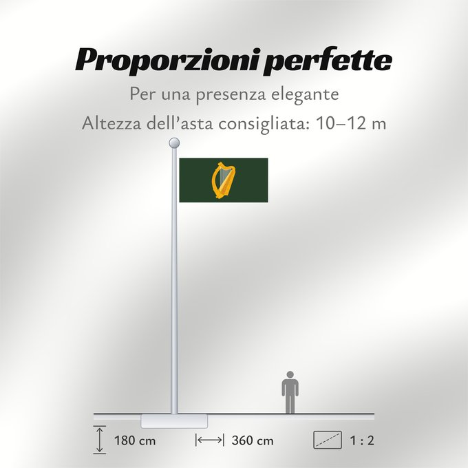 Proporzioni della bandiera: Leinster	W Leinster