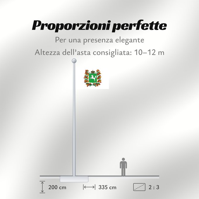 Proporzioni della bandiera: Tomskaya oblast'