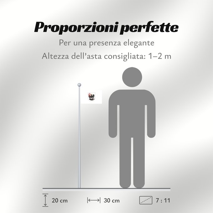 Proporzioni della bandiera: Ciudad de Buenos Aires Autonomous city of Buenos Aires, Argentina Ciudad Autónoma de Buenos Aires Ciudad Autonoma de Buenos Aires, Argentina