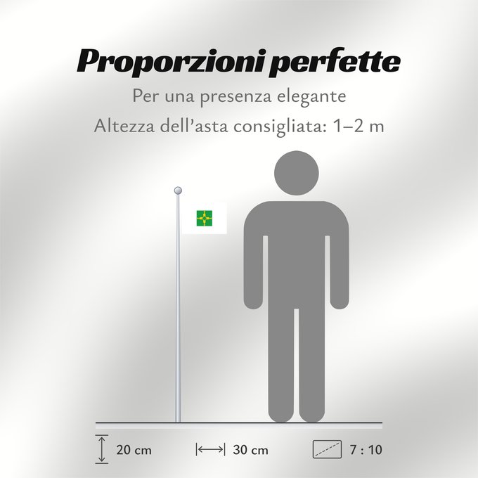Proporzioni della bandiera: Distrito Federal