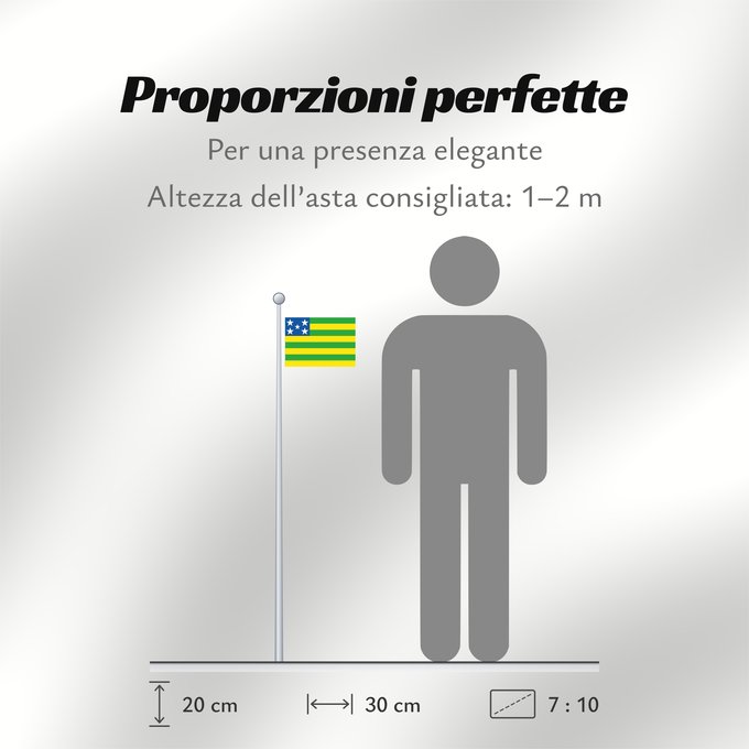 Proporzioni della bandiera: Goiás