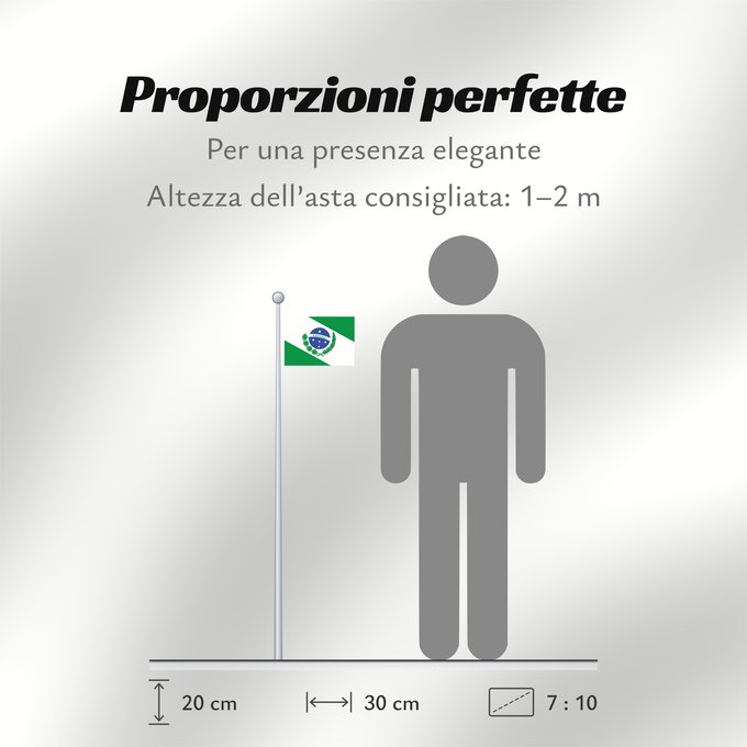 Proporzioni della bandiera: Paraná