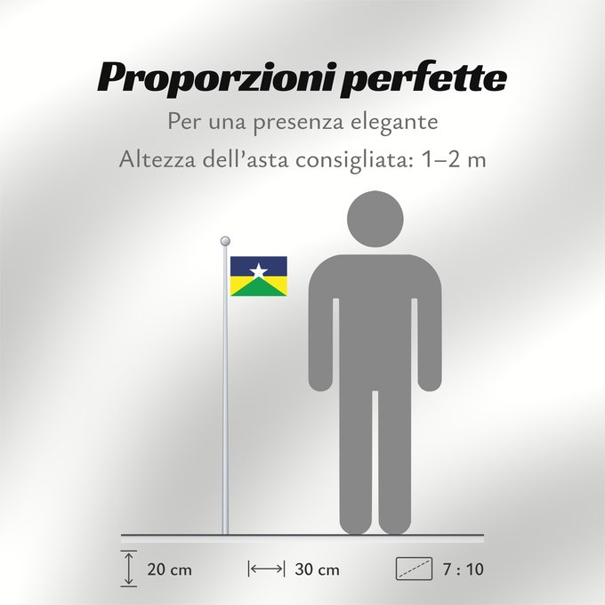 Proporzioni della bandiera: Rondônia