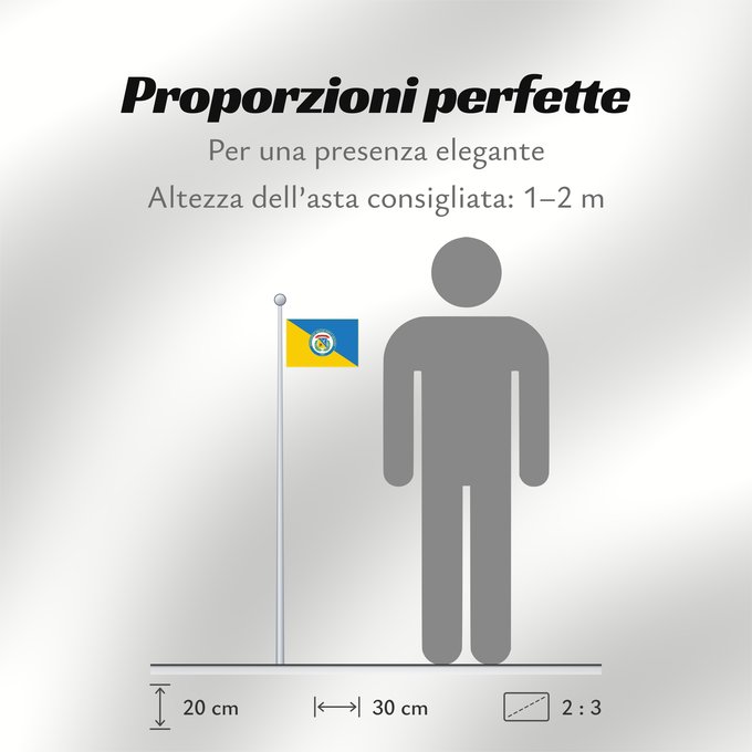 Proporzioni della bandiera: Universidad Militar Nueva Granada