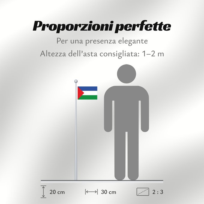 Proporzioni della bandiera: Guanacaste