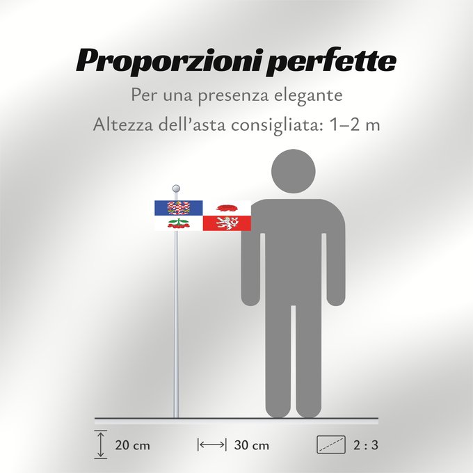 Proporzioni della bandiera: Vysocina Region	Vysočina Region	Région de Vysočina	Región de Vysočina	Region Vysočina