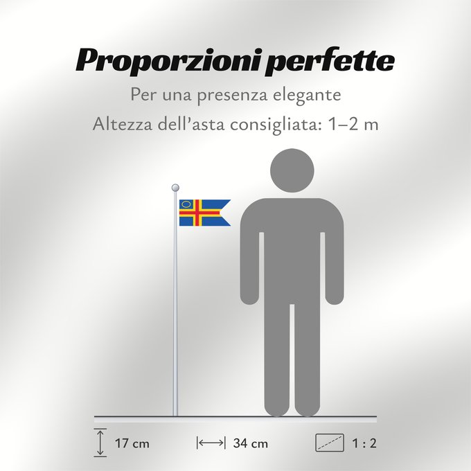 Proporzioni della bandiera: Åland Yachting Clubs	This file is in the public domain in Finland because it is a part of a decision or a statement issued by a public authority or other public body in Finland and is not an independent work	Clubs de voile d'Åland	Clubes Náuticos de Åland