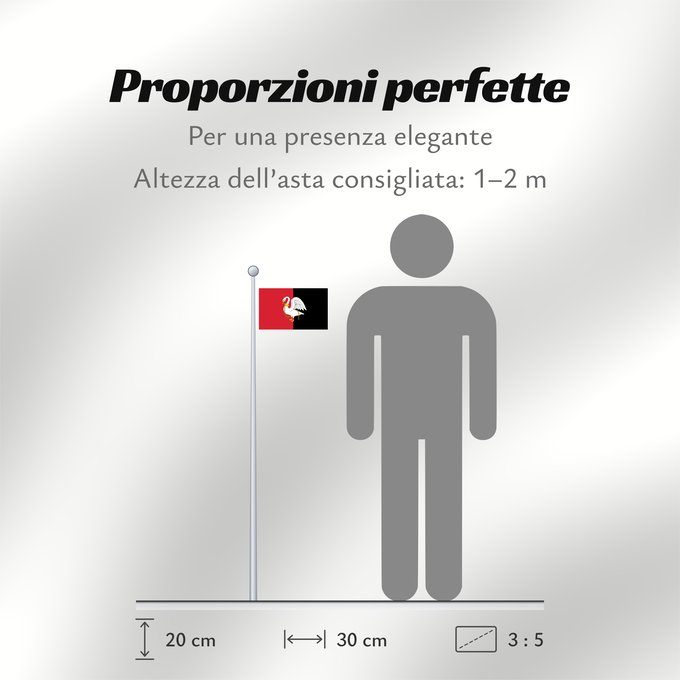Proporzioni della bandiera: Buckinghamshire