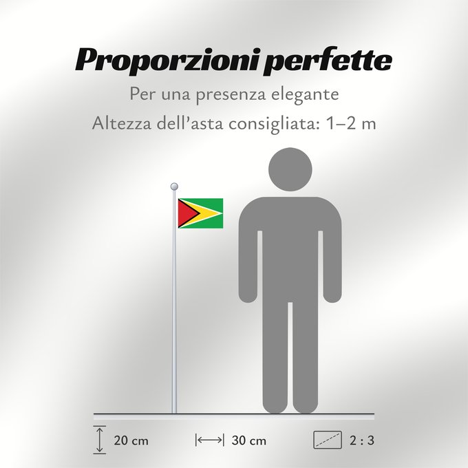 Proporzioni della bandiera: Guyana	Guiana	Wayana wiphala	Gujano	Gwayana	Wayana unancha	Флаг Гайаны	Guyanas	Quốc kỳ Guyana