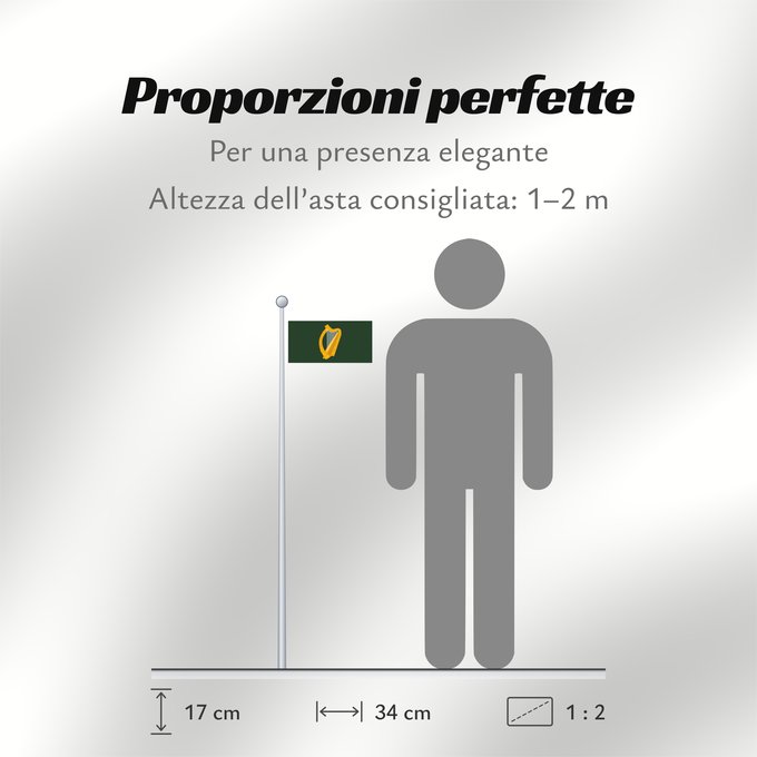 Proporzioni della bandiera: Leinster	W Leinster