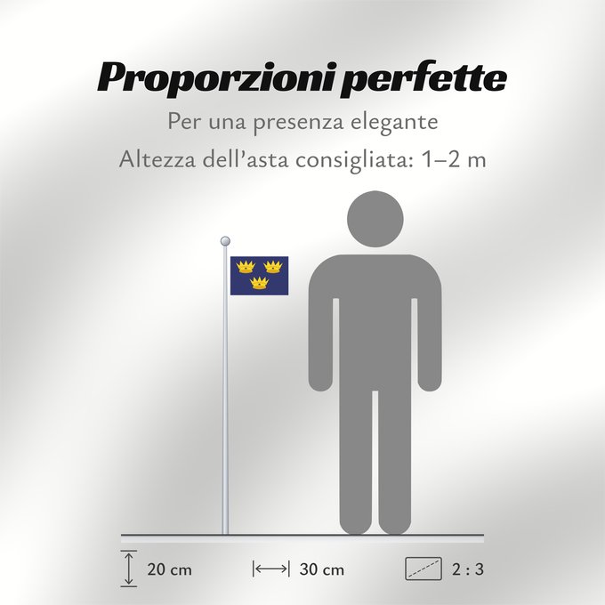 Proporzioni della bandiera: Munster