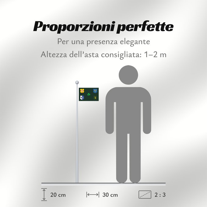 Proporzioni della bandiera: Ireland Rugby