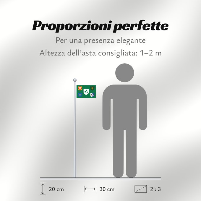 Proporzioni della bandiera: IRFU	IRFU flag first made public in 1925, comprised of the traditional four provinces of Ireland shields and other older elements
