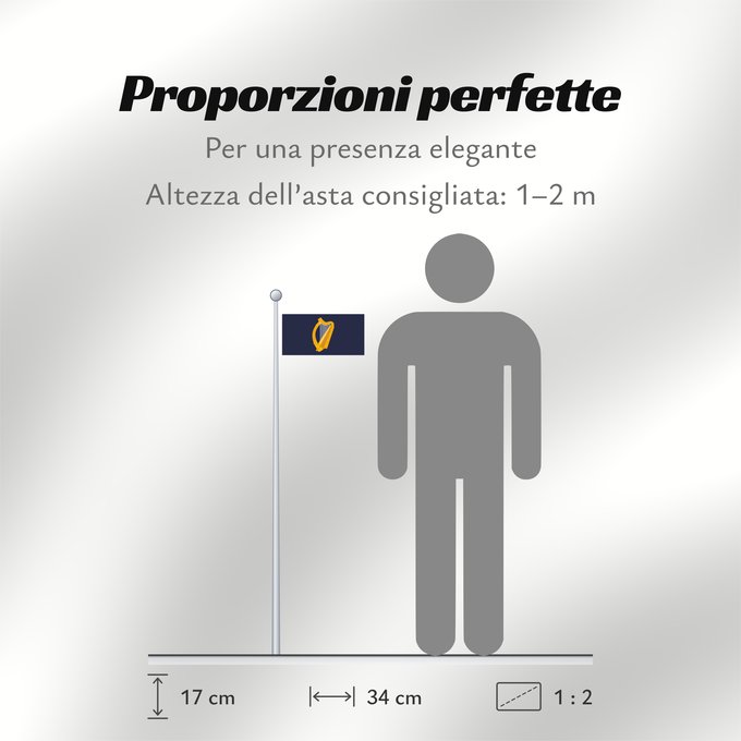 Proporzioni della bandiera: President of Ireland Presidential Flag of Ireland with alternate official state harp design Étendard présidentiel d'Irlande (motif de harpe alternatif) Estandarte Presidencial de Irlanda (diseño alternativo de arpa) Präsidentenstandarte von Irland (abweic