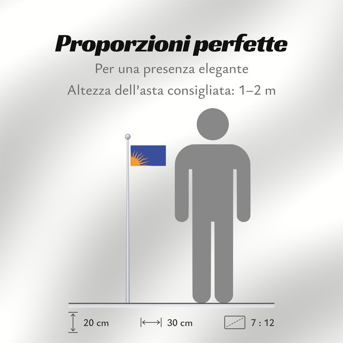 Proporzioni della bandiera: Sunburst Modern design of the Irish nationalist Sunburst flag