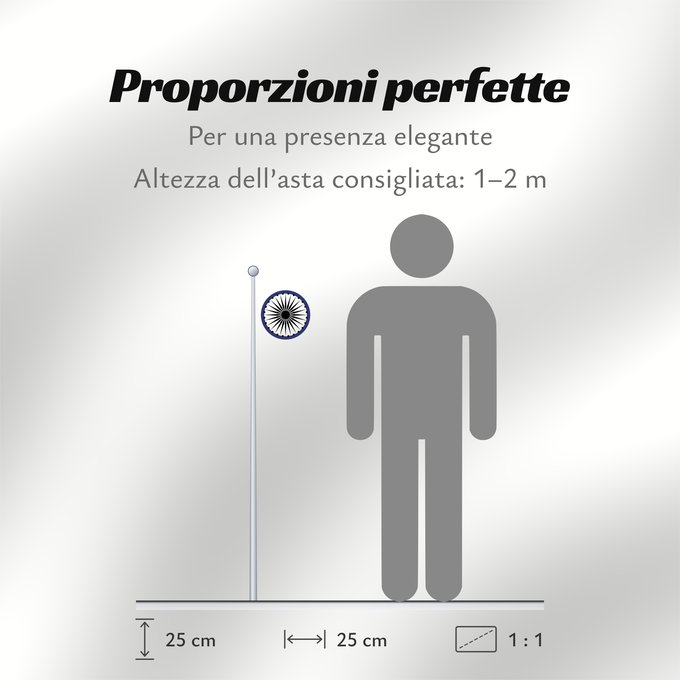 Proporzioni della bandiera: Ashoka Chakra