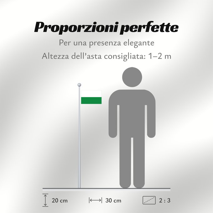 Proporzioni della bandiera: INPT