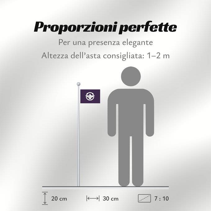 Proporzioni della bandiera: Ibaraki