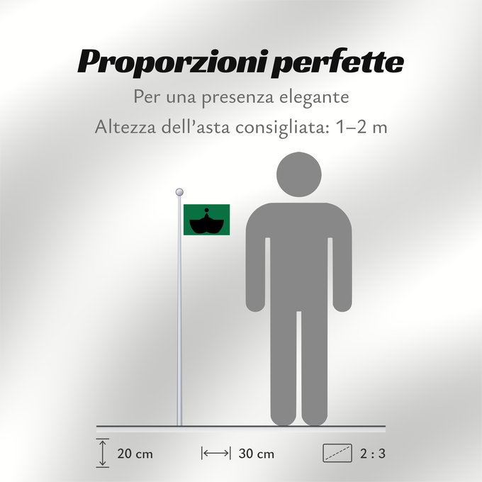 Proporzioni della bandiera:  Tiba [Chiba]