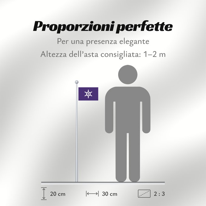 Proporzioni della bandiera: Tokyo Prefecture Tokyo Tōkyō Tokio La préfecture de Tokyo