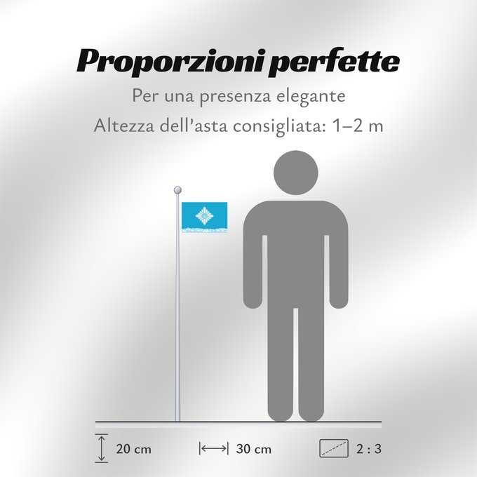Proporzioni della bandiera: Toyama
