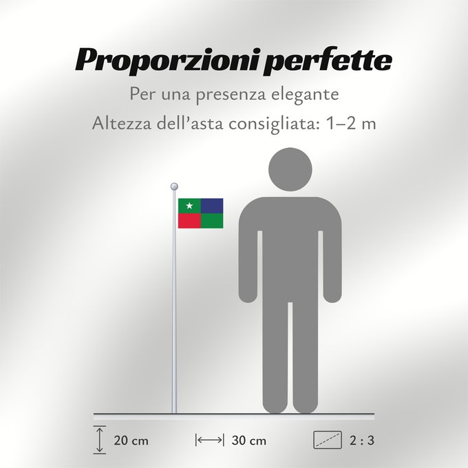 Proporzioni della bandiera: Standard of the Prime Minister of the Maldives	Prime Minister's Standard of the Maldives	Étendard du Premier ministre des Maldives	Estandarte del Primer Ministro de Maldivas	Standarte des Premierministers der Malediven	Stendardo del Primo Ministro delle M