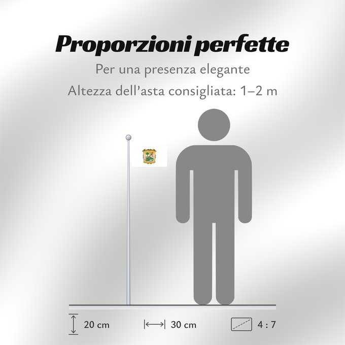 Proporzioni della bandiera: Coahuila Coahuila Coahuila de Zaragoza
