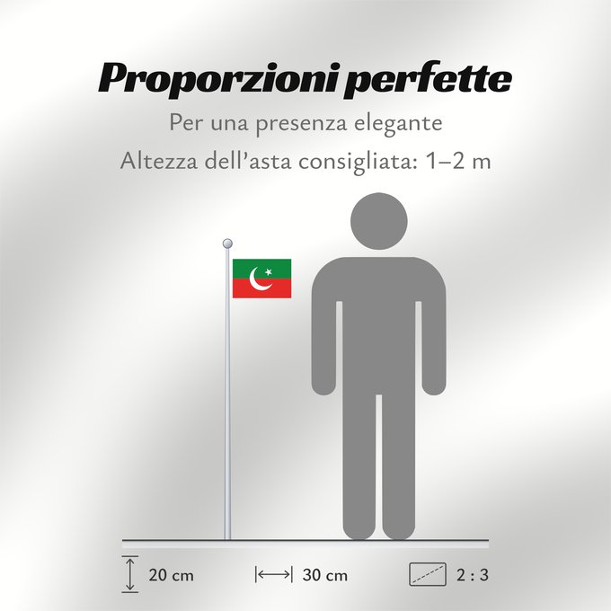 Proporzioni della bandiera: Pakistan Tehreek-e-Insaf 2 3 ratio flag of the Pakistan Tehreek-e-Insaf
