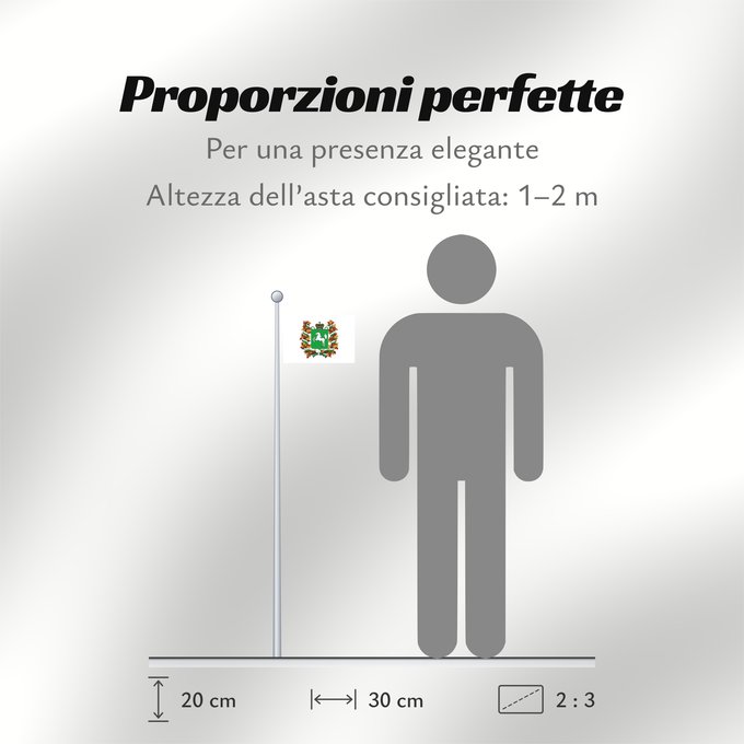 Proporzioni della bandiera: Tomskaya oblast'