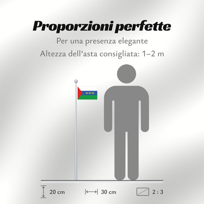 Proporzioni della bandiera: Tyumen Oblast	Oblast de Tioumen	Óblast de Tiumén 	Oblast Tjumen