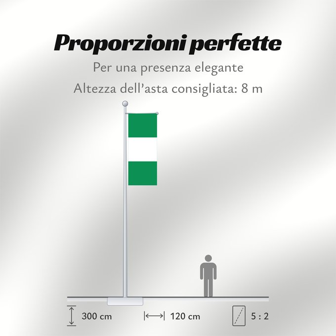 Proporzioni della bandiera: Nigeria	Nigéria	علم نيجيريا	Niĝerio	Okoloto nke Naigeria	Nijeri	Nigerije	Државна застава Нигерије	Àsìá ilẹ́ Naijiria