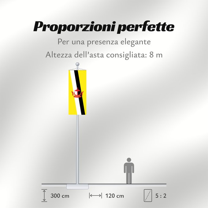 Proporzioni della bandiera: Brunei Brunei Darussalam Brunéi علم بروناي Bruneis Brunein 브루나이의 국기 Bruney Brunei / بنديرا بروني ဘရူနိုင်းနိုင်ငံ၏ အလံတော် Флаг Брунея Bruneja புரூணை கொடி ธงชาติบรูไนดารุสซาลาม Watawat Brunay Cờ Brunei 文莱国旗