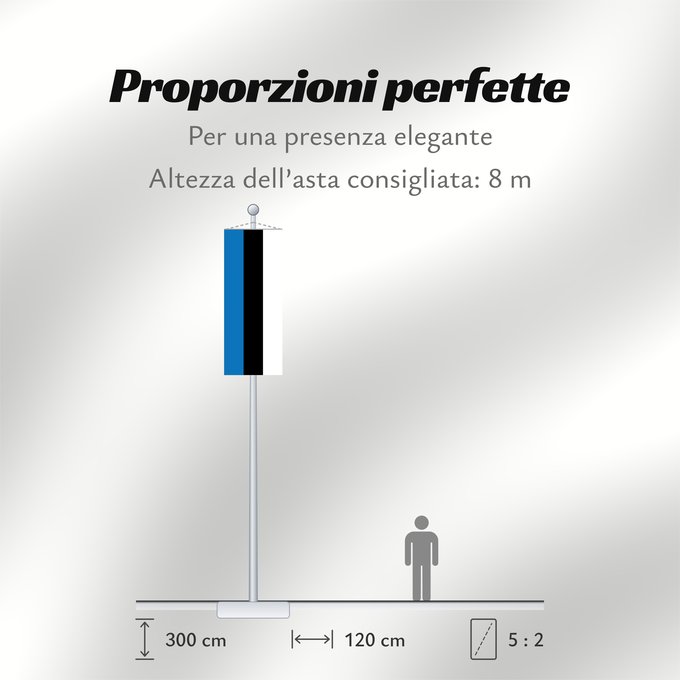 Proporzioni della bandiera: Estonia L Estonie Estland Estone Estónia Estonii Сцяг Эстоніі Национално знаме на Естония Estonská vlajka Σημαία της Εσθονίας Eesti lipp پرچم کشور استونی Viron HEastóine Észtország エストニアの国旗 ესტონეთის დროშა Estijos Igaunijas Знаме на Естонија Estoniei Флаг