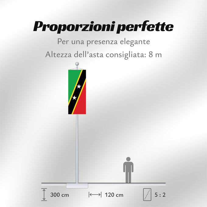 Proporzioni della bandiera: Saint Kitts and Nevis Saint-Christophe-et-Niévès San Cristóbal y Nieves St. Kitts und Nevis Saint Kitts e Nevis Saint Kitts a Nevis Shan Críostóir-Nimheas Sen Kitts ha Nevis Флаг Сент-Китса и Невиса Saunt Kitts an Nevis Saint Kittsa in Nevisa