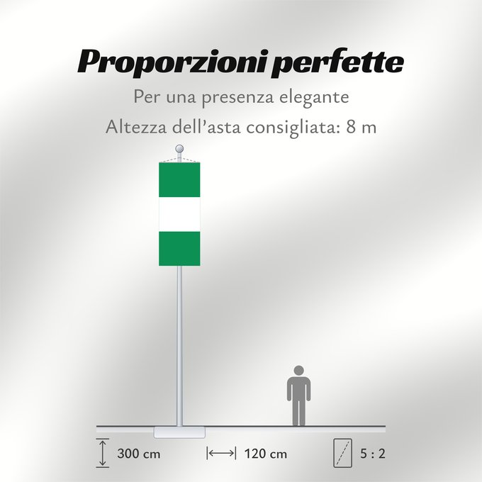 Proporzioni della bandiera: Nigeria Nigéria علم نيجيريا Niĝerio Okoloto nke Naigeria Nijeri Nigerije Државна застава Нигерије Àsìá ilẹ́ Naijiria
