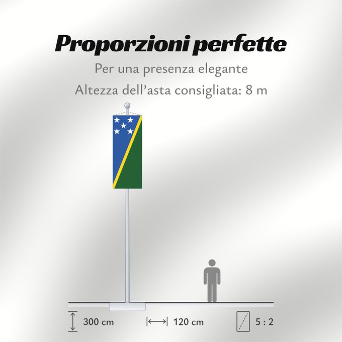 Proporzioni della bandiera: Solomon Islands îles Salomon Islas Salomón Salomonen Isole Salomone Salomonseilanden Ynysoedd Solomon Oileán Sholamón Brattagh ny h-Ellanyn Holomon Ynysow Salamon The Solomon Islands Salomonovih otokih