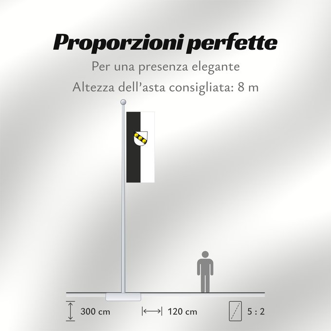 Proporzioni della bandiera: Wernau (Neckar) (Region Stuttgart)