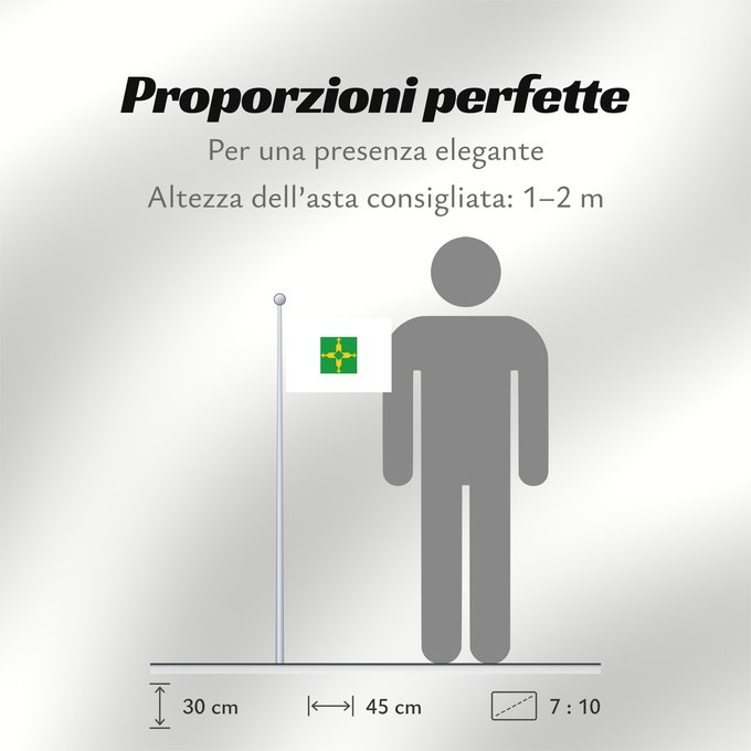 Proporzioni della bandiera: Distrito Federal