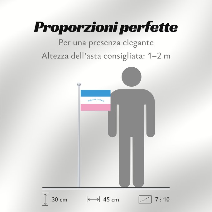 Proporzioni della bandiera: Espírito Santo
