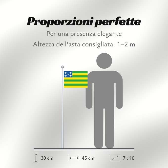 Proporzioni della bandiera: Goiás