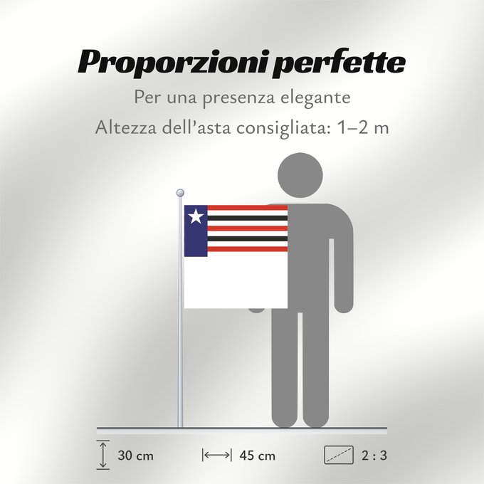 Proporzioni della bandiera: Maranhão