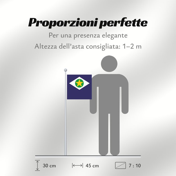 Proporzioni della bandiera: Mato Grosso	State of Mato Grosso, Brazil	Mato Grueso	Mato Grosso, Brasil