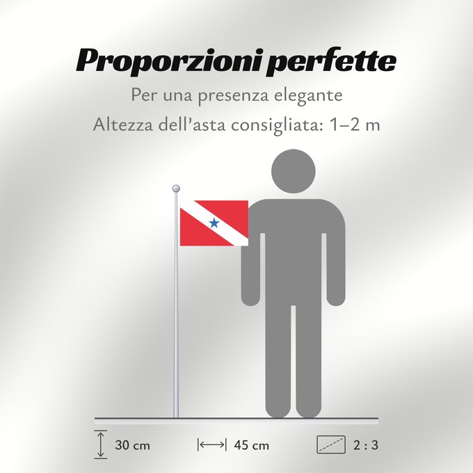 Proporzioni della bandiera: Pará