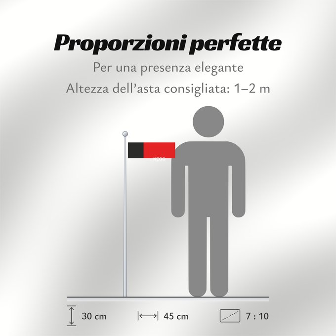 Proporzioni della bandiera: Paraíba