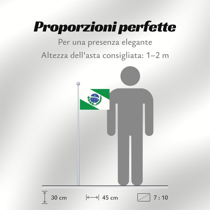 Proporzioni della bandiera: Paraná