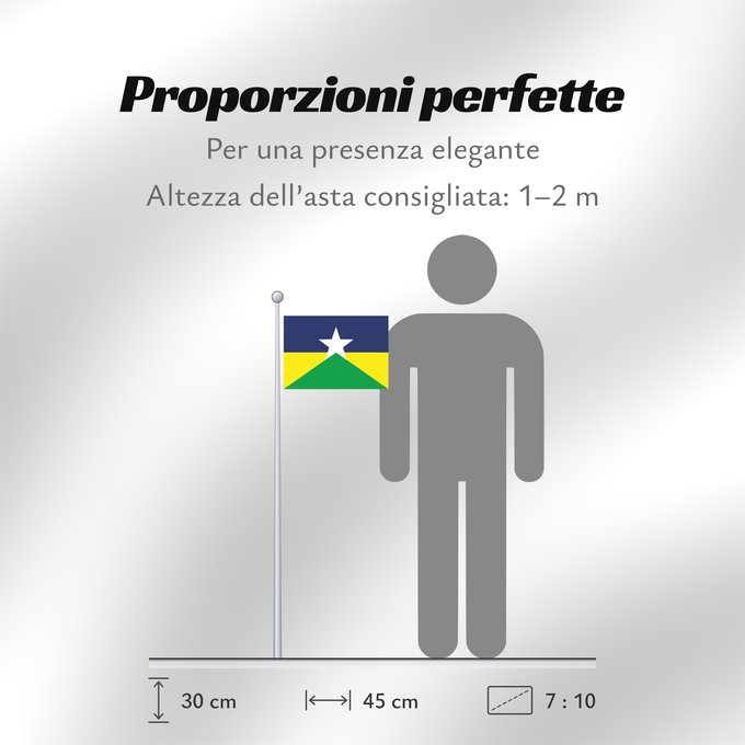 Proporzioni della bandiera: Rondônia