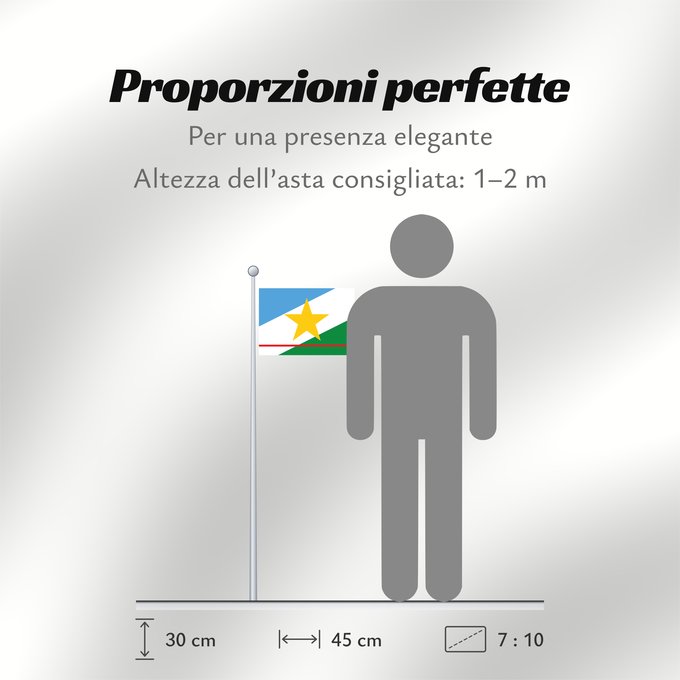 Proporzioni della bandiera: Roraima
