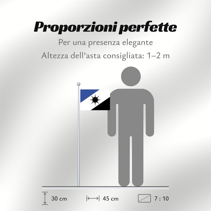 Proporzioni della bandiera: Tocantins State of Tocantins, Brazil Estado do Tocantins, Brasil